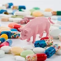 Антибиотики и животноводство, вред от антибиотиков