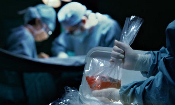 Трансплантация Корея, органы пересадка Корея