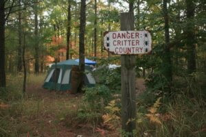 Лечение болезни Лайма