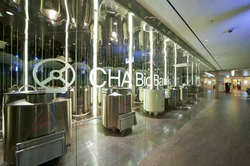 Cha clinic, ЭКО в Корее